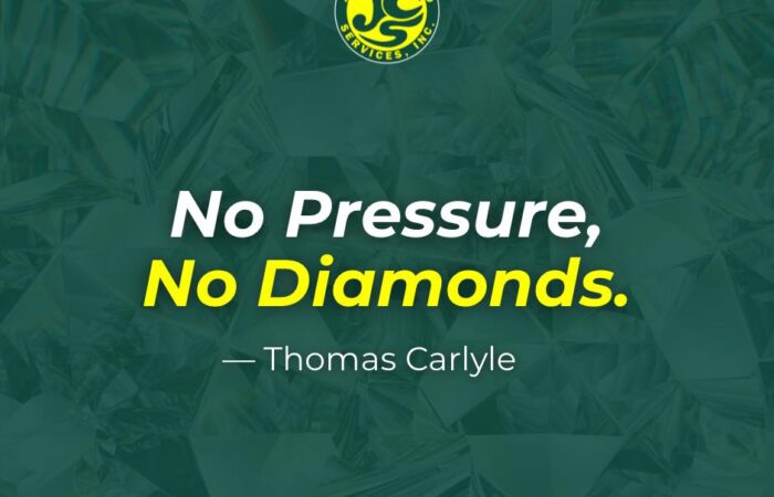 No pressure, no diamonds.  Just like in business, it’s the challenges that shape…