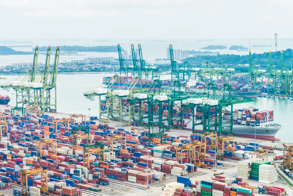 Discover why Sea Cargo Shipping Philippines faces challenges from Manila port congestion. Learn its impact on trade, shipping costs, and how Jades Cargo Services Inc. provides reliable solutions despite these issues.
